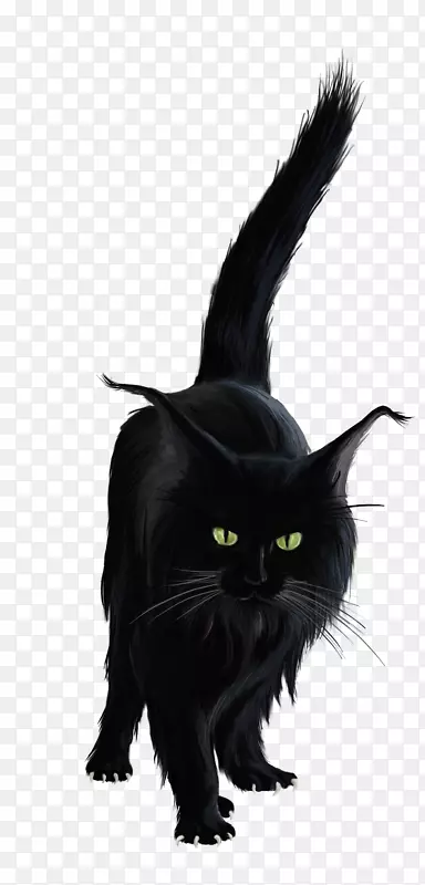 黑猫小猫剪贴画-黑猫