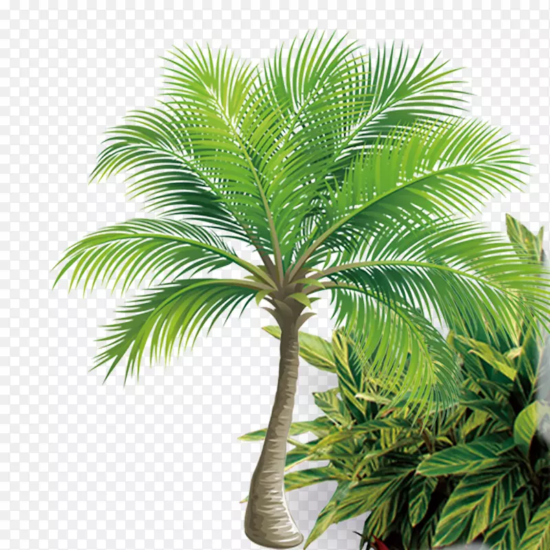 椰子树图标-椰子树