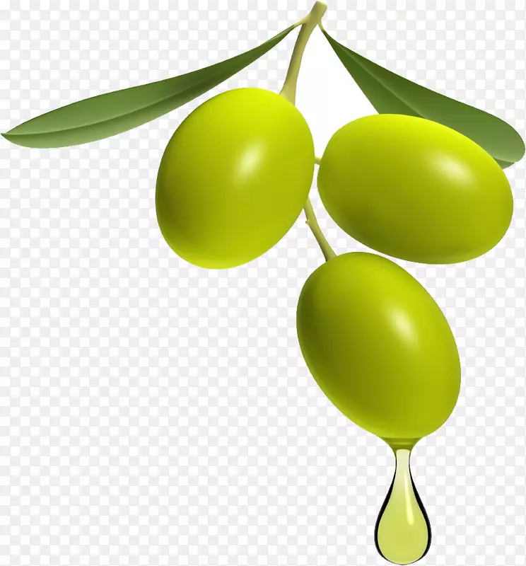 橄榄油食品-橄榄油PNG