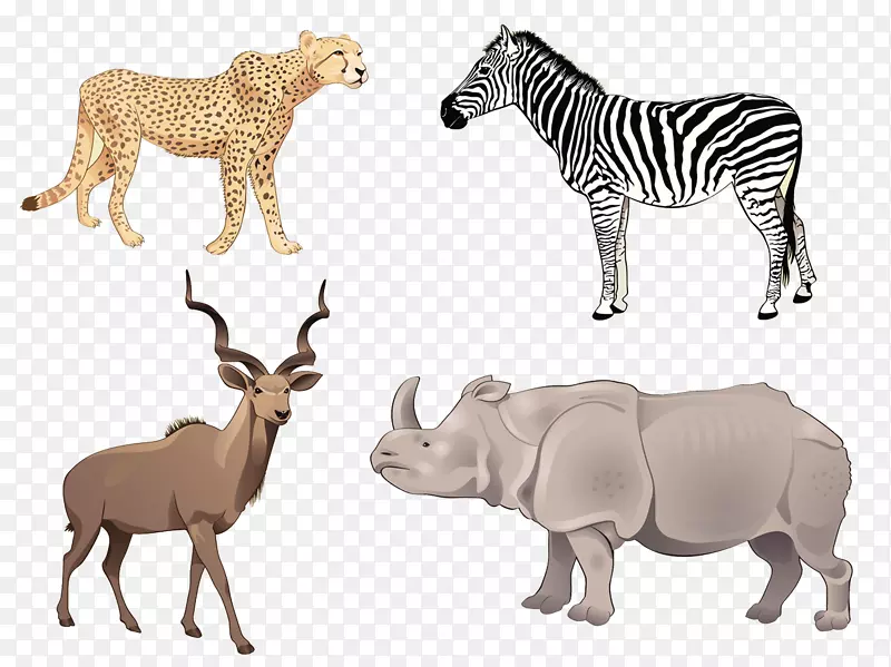 非洲羚羊插图-非洲草原动物