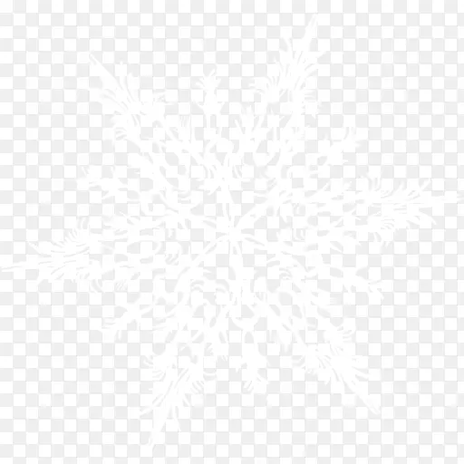 橄榄枝图案-雪花PNG图像