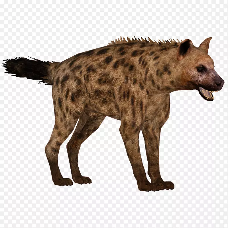 斑点鬣狗图标剪辑艺术-鬣狗PNG