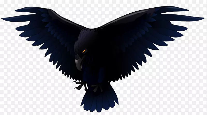 普通乌鸦-剪贴画-可怕的乌鸦PNG剪贴画