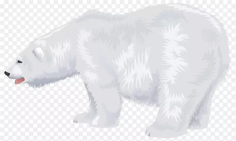 北极熊可爱的北极-白色北极熊透明PNG剪贴画图像
