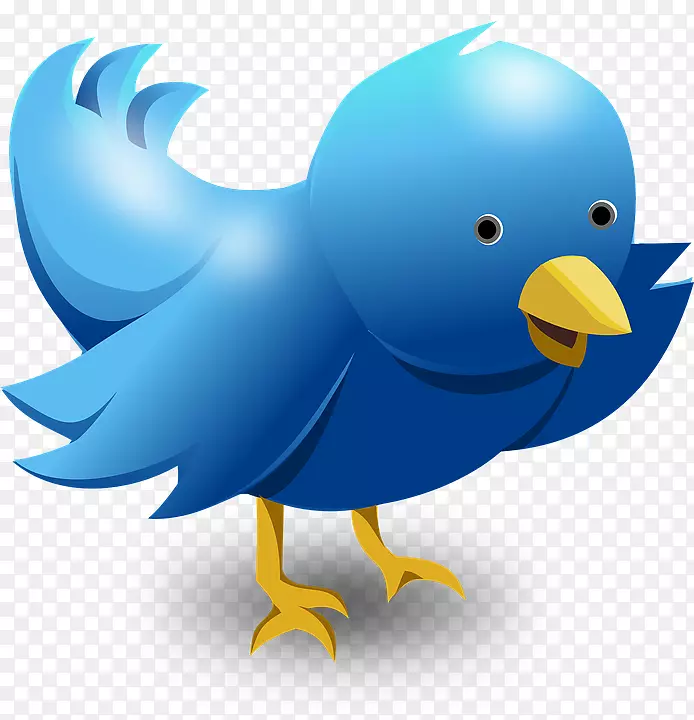 小鸟可爱插图-推特标志PNG