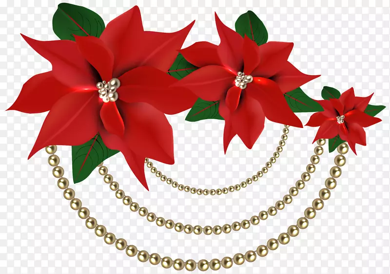 一品红圣诞装饰剪贴画.带珍珠的圣诞装饰性一品红
