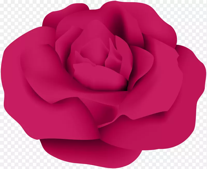 花园玫瑰百叶玫瑰剪贴画-深粉色玫瑰PNG透明剪贴画