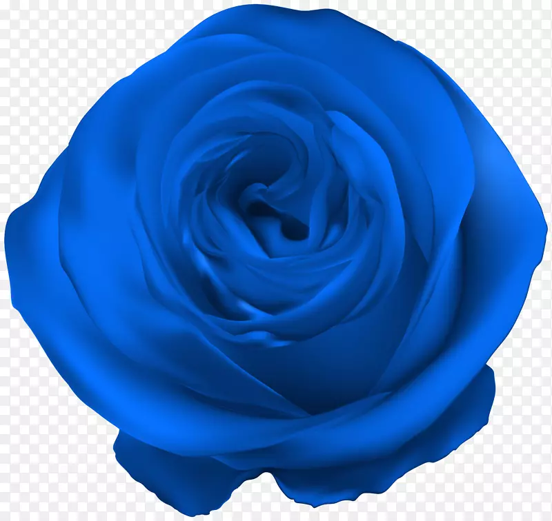 蓝色玫瑰皇家蓝-蓝色玫瑰PNG剪贴画