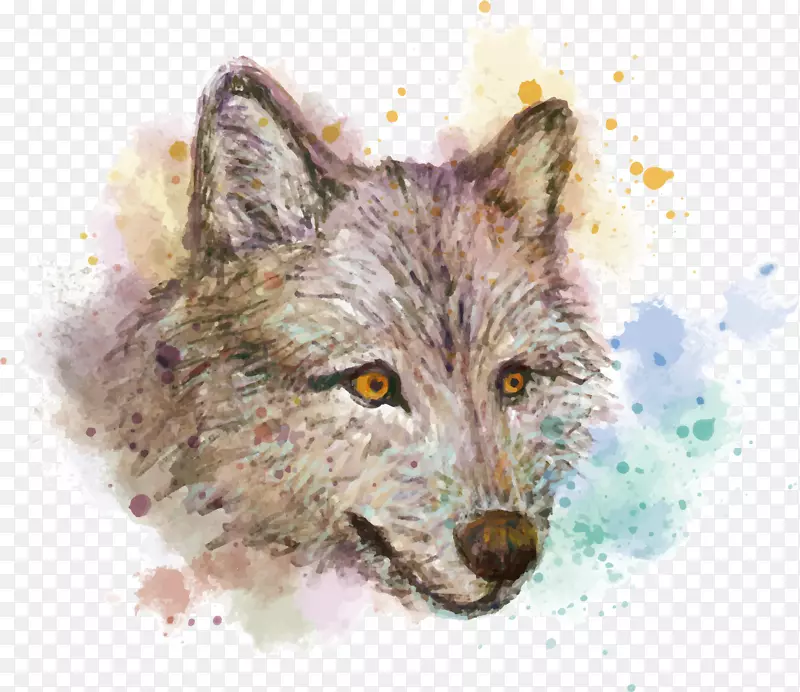 灰狼水彩画红狐画手绘水彩狼
