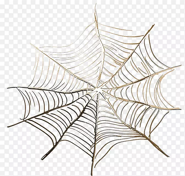 蜘蛛网图标-合成蜘蛛网