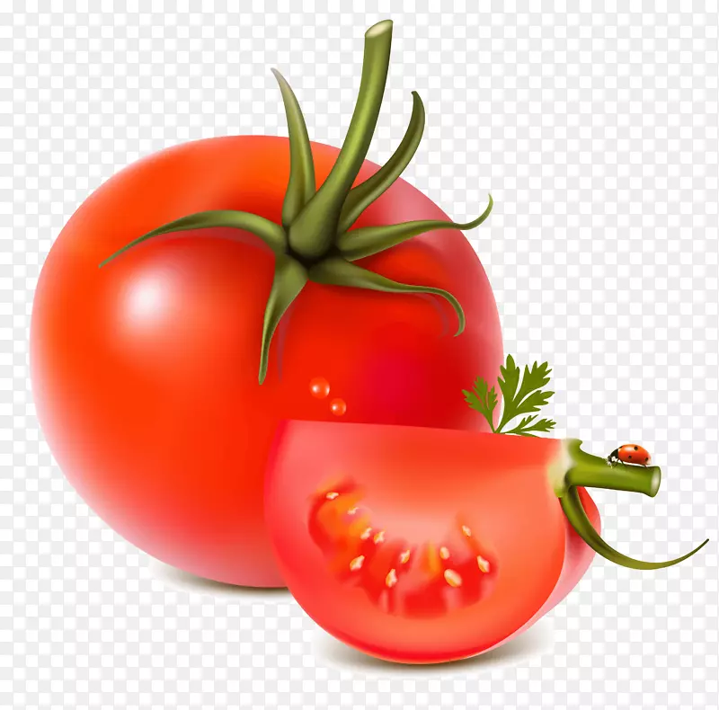 蔬菜番茄果品-番茄PNG图像