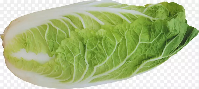 生菜色拉蔬菜-色拉PNG图像