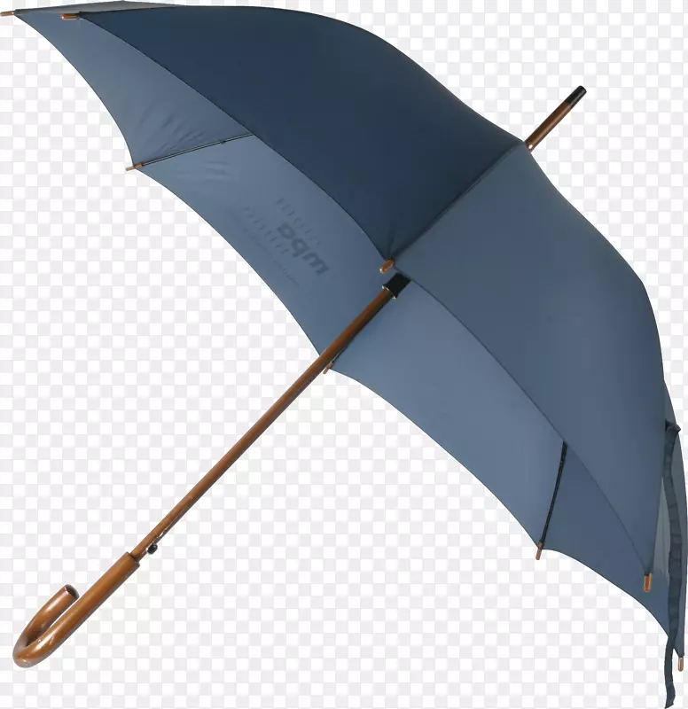 雨伞图标-伞PNG图像