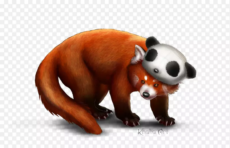 红熊猫大熊猫熊猫-熊猫图片
