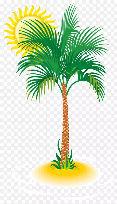 槟榔科树木剪贴画-棕榈和太阳PNG剪贴画图像