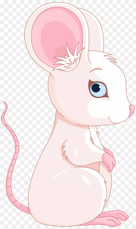 兔鼠须图-可爱的粉红色和白色老鼠PNG剪贴画