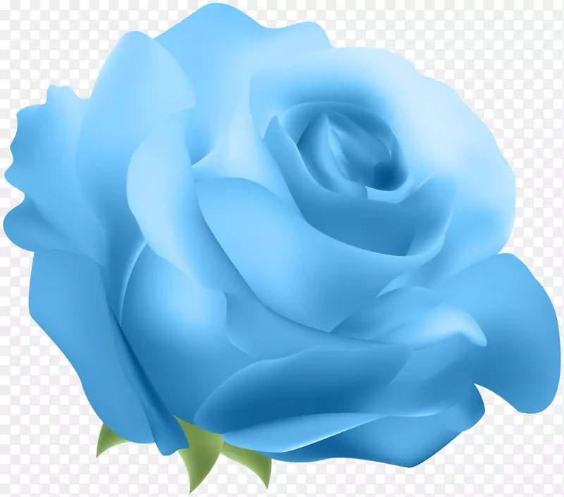 蓝色玫瑰剪贴画-装饰玫瑰蓝PNG剪贴画