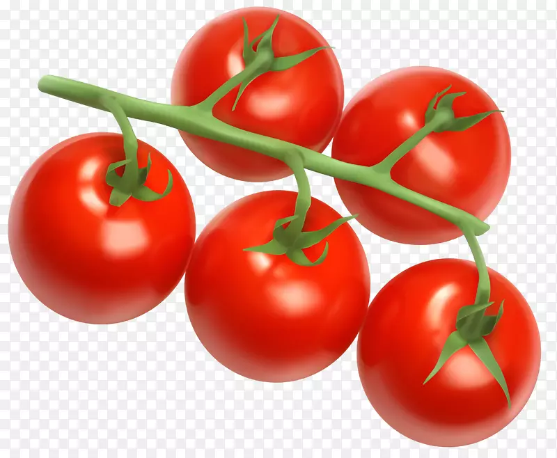 樱桃番茄蔬菜图标-番茄PNG剪贴画