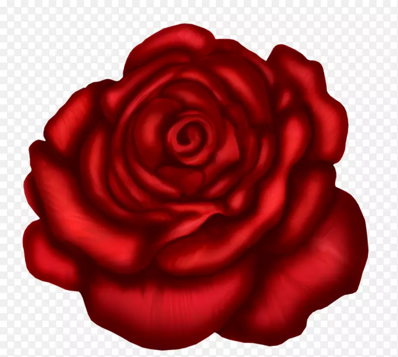 玫瑰红色剪贴画-红玫瑰艺术图片