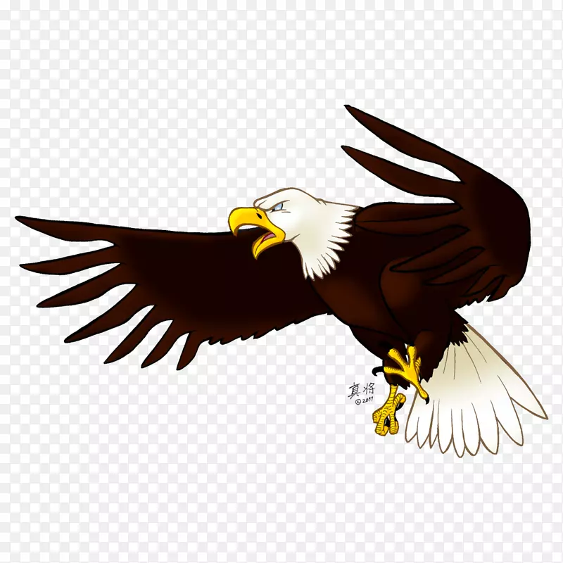 鹰夹艺术-鹰PNG图像，免费下载