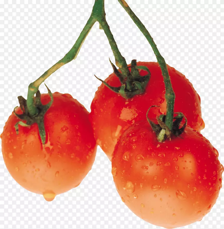 李子番茄光景-番茄PNG图像