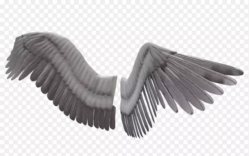 三维计算机图形学翅膀剪贴画-翅膀PNG