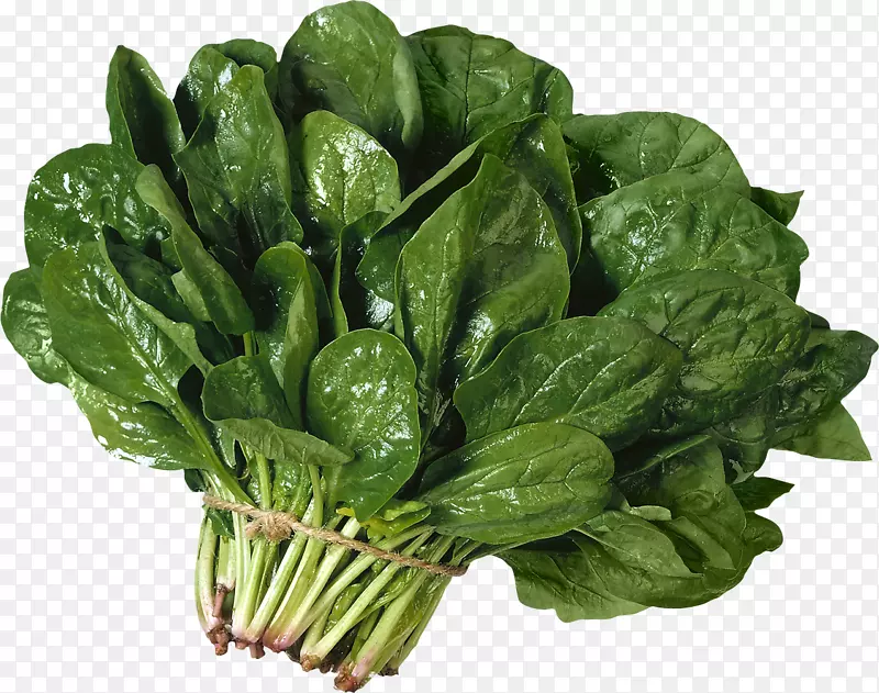马拉巴菠菜生菜千层面-沙拉PNG图像