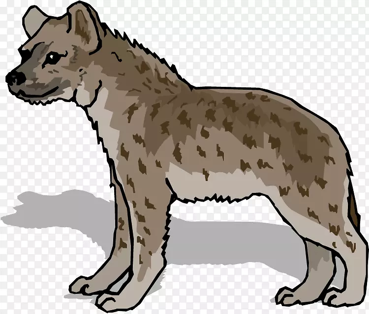 爱德，鬣狗发现了鬣狗夹艺术-鬣狗PNG