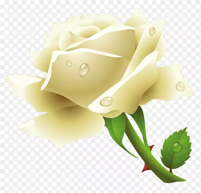 玫瑰花剪贴画-白玫瑰PNG形象花白玫瑰PNG图片