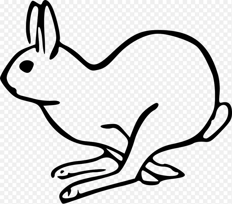 复活节兔子欧洲野兔荷兰兔剪贴画-兔子剪贴画