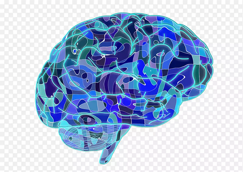 大型脑神经网络神经科学记忆神经元蓝脑细胞
