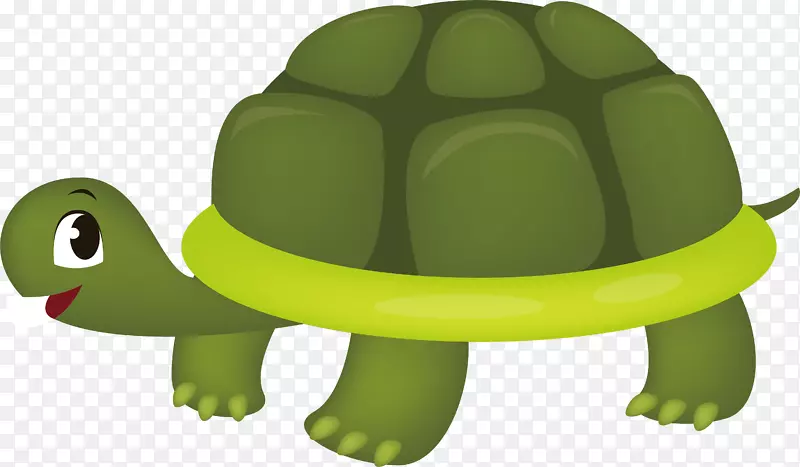 登顿市海龟-可爱的小乌龟