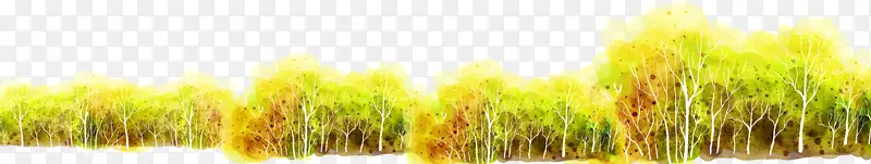 麦草电脑王尔德壁纸-灌木丛