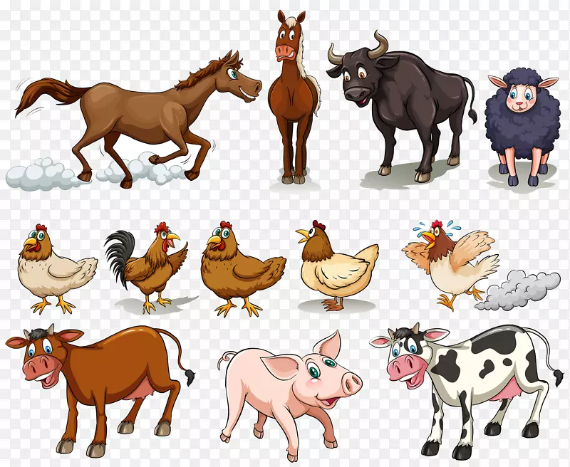 牛、鸡、羊、家猪、马场动物