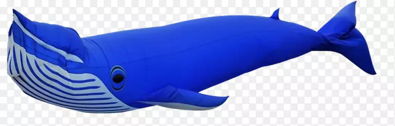 露脊鲸气球下载-鲸鱼气球
