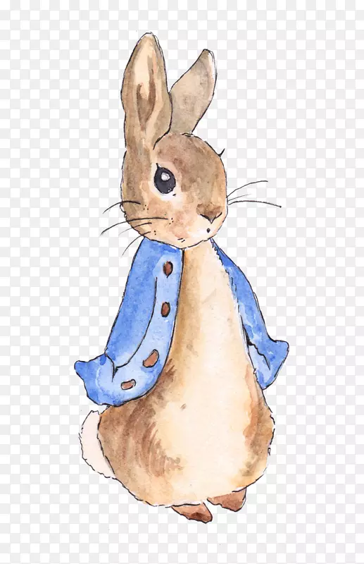 关于彼得兔子的故事，关于失败兔子的故事，创造了你自己的彼得兔子托儿所-兔子。