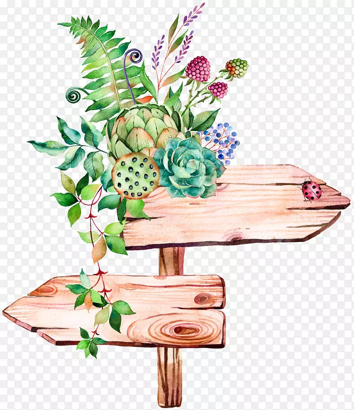 肉质植物水彩画插图.手绘标志