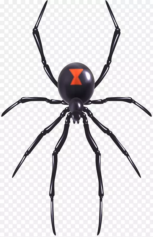 蜘蛛网南方黑寡妇插图-玩具蜘蛛