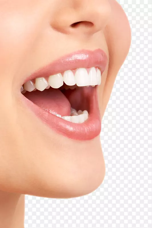 牙科贴面牙医冠牙模型