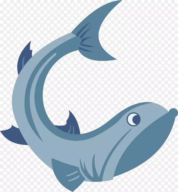 海豚鲨鱼文字插图-蓝鱼