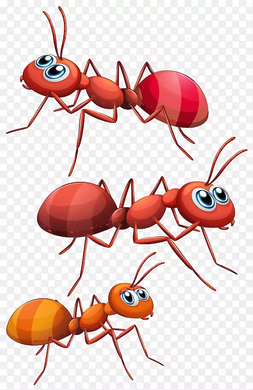 蚂蚁剪贴画-蚂蚁