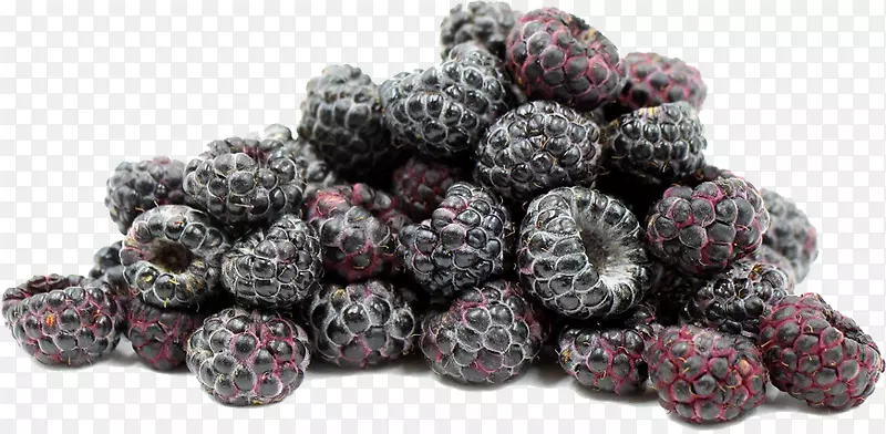 黑树莓-黑色覆盆子png文件