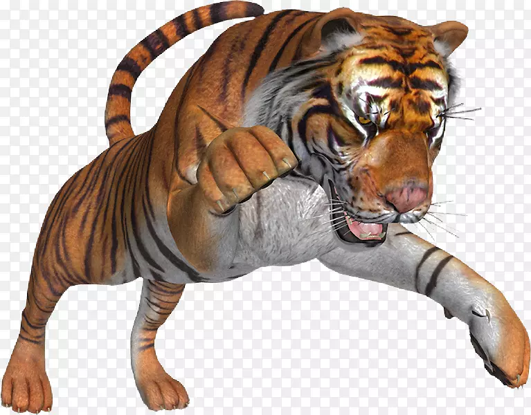 虎狮猫夹艺术-老虎