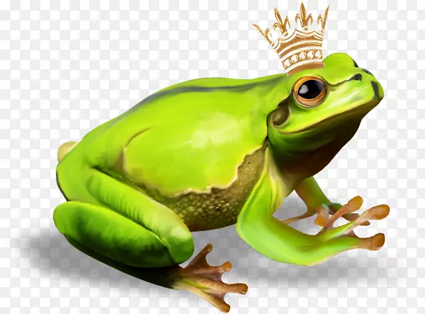青蛙王子-青蛙王子