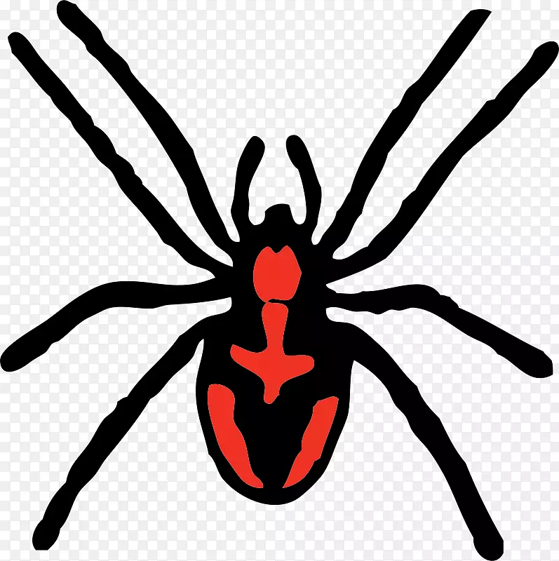 红背蜘蛛剪贴画-红蜘蛛图片