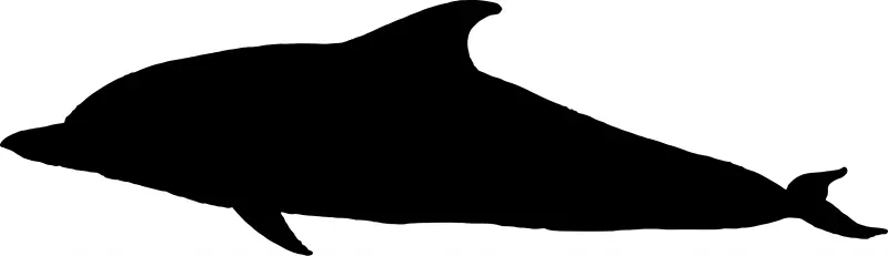 海豚黑白动物-麋鹿头轮廓