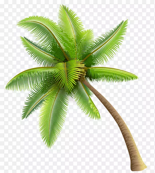 需要一个人(壮举)。托里·拉涅斯(Tory Lanez)Zolo当代R&b-椰子树PNG透明图像