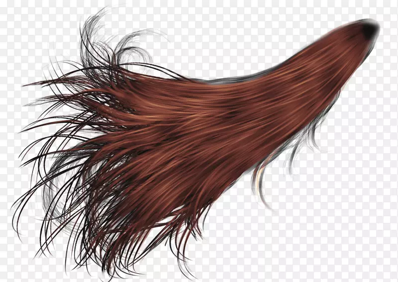 发型-发PNG形象
