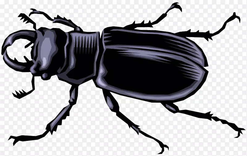 大众甲虫蝴蝶黑甲虫卡通-卡通甲虫