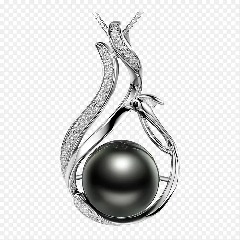 塔希提珍珠耳环珠宝Pinctada margaritifera-Tahitian珍珠项链